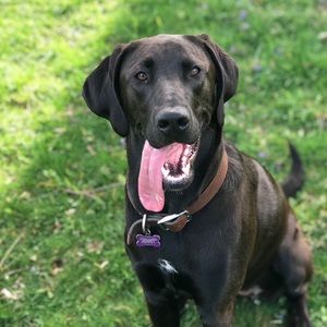 Meet your Posher, Jackie